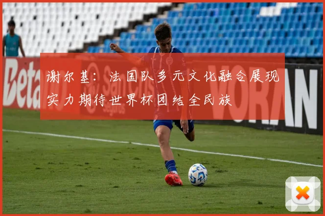 谢尔基：法国队多元文化融合展现实力期待世界杯团结全民族