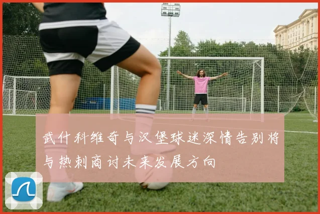 武什科维奇与汉堡球迷深情告别将与热刺商讨未来发展方向
